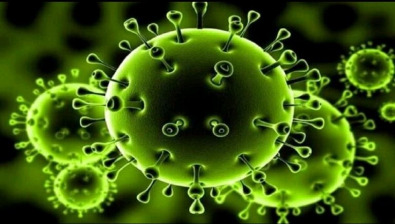 آینده ویروس کرونا چه می شود ؟